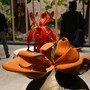 Biennale Venezia, è già un'edizione da record: visitatori aumentati del 20 per cento
