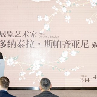 Cina, l’artista Donatella Spaziani tiene la prima mostra personale a Chongqing