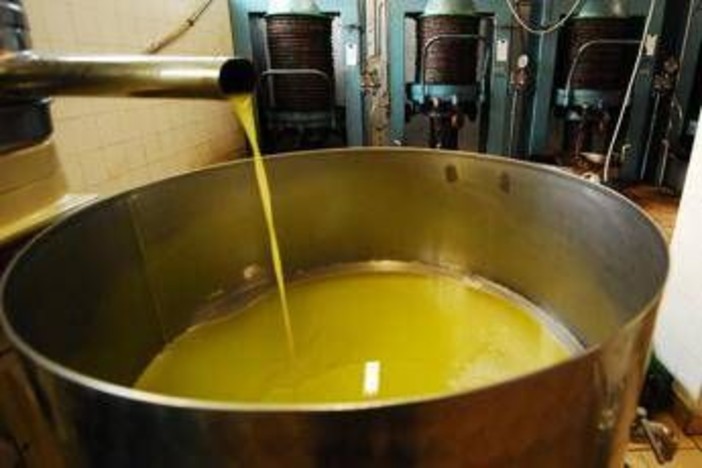 Unifol: "Per movimenti dell'olio sfuso sì alla bolla elettronica " Unifol: "Per movimenti dell'olio sfuso sì alla bolla elettronica "
