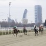 Milano, all’Ippodromo Snai San Siro il Gran Premio Cavalli e Sport