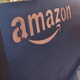 "Giocattoli morbidi sono pericolosi", Amazon li rimuove dal catalogo