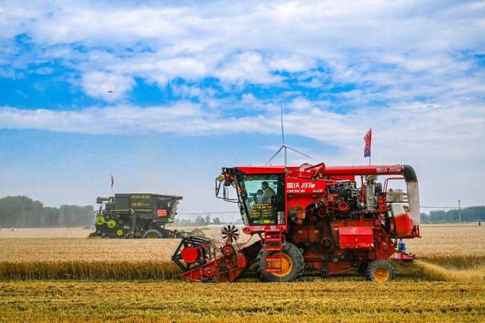 Cina, per la prima volta il raccolto di cereali estivi supera 150 mln tonnellate Cina, per la prima volta il raccolto di cereali estivi supera 150 mln tonnellate
