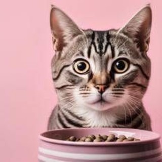 Animali domestici, è boom 'caro vita': 149 euro aumento costo medio ad animale