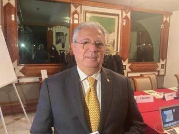 Magi: "Dopo Covid Italia più preparata contro i virus ma territorio resta fragile" Magi: "Dopo Covid Italia più preparata contro i virus ma territorio resta fragile"