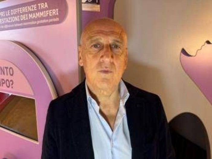 Farmaci, Agostiniani (Sip): "Contro Rsv nuova opportunità per pediatri" Farmaci, Agostiniani (Sip): "Contro Rsv nuova opportunità per pediatri"